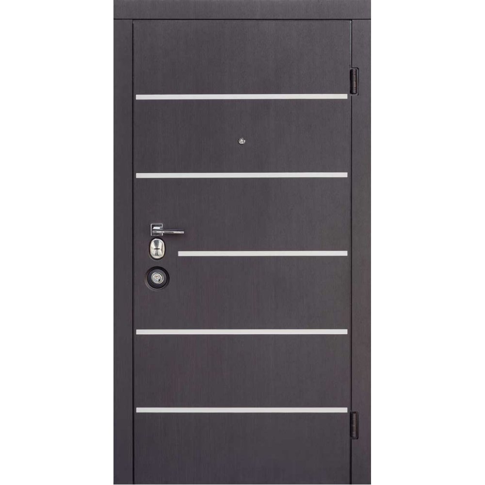 Металлические двери в Молдове Металлические двери в Молдове