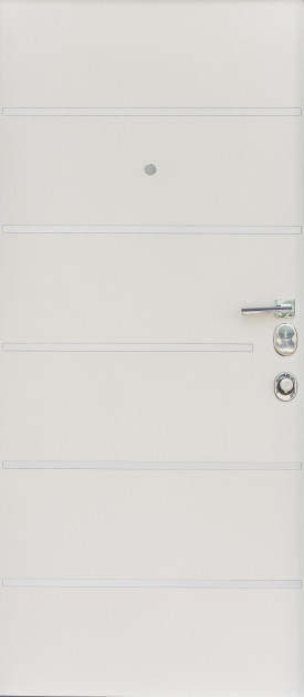 Металлические двери в Молдове Металлические двери в Молдове